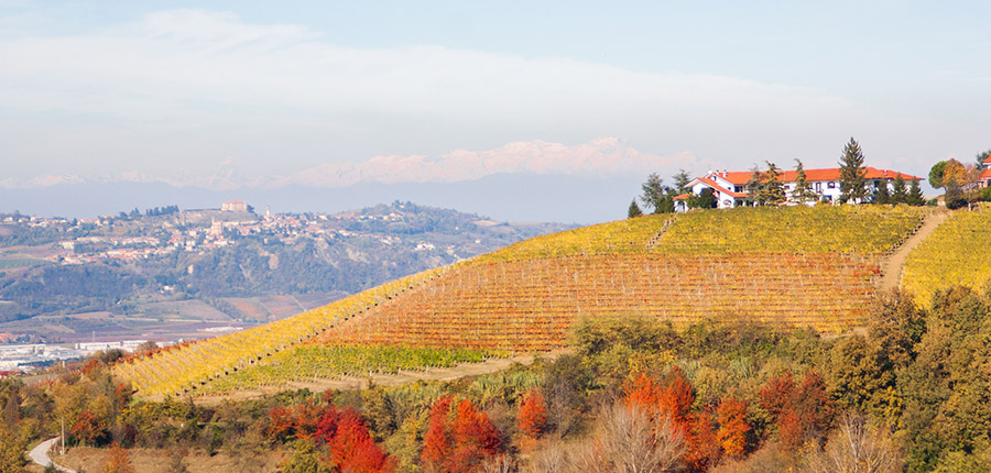 La cascina e i vigneti della collina El Sere