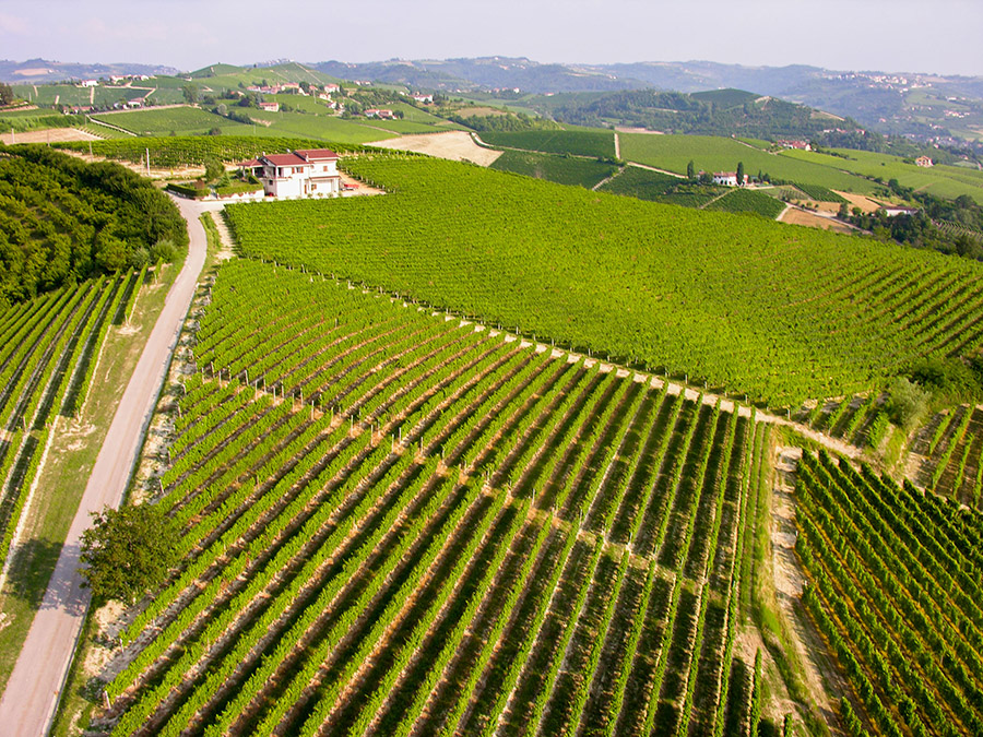 Le strade tra i vigneti — Rivetti Gino